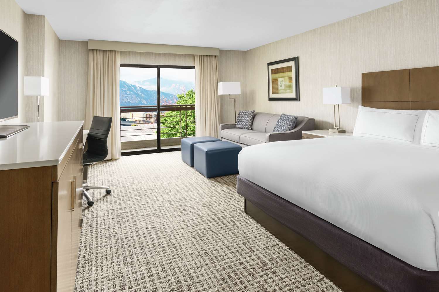 ROOM, KING BED, SOFA