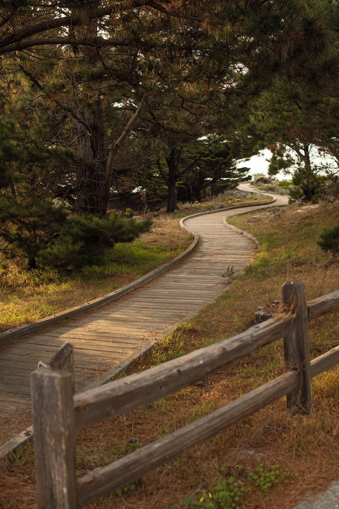 Asilomar Conference Grounds 64/66