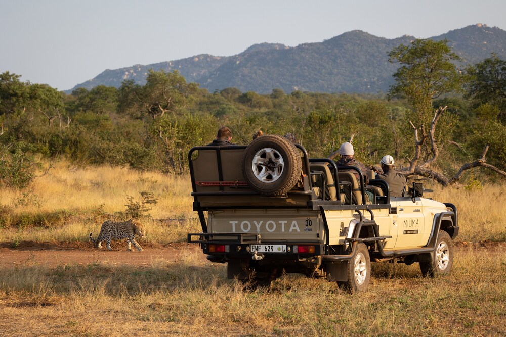 Milima Big 5 Safari Lodge 42/50