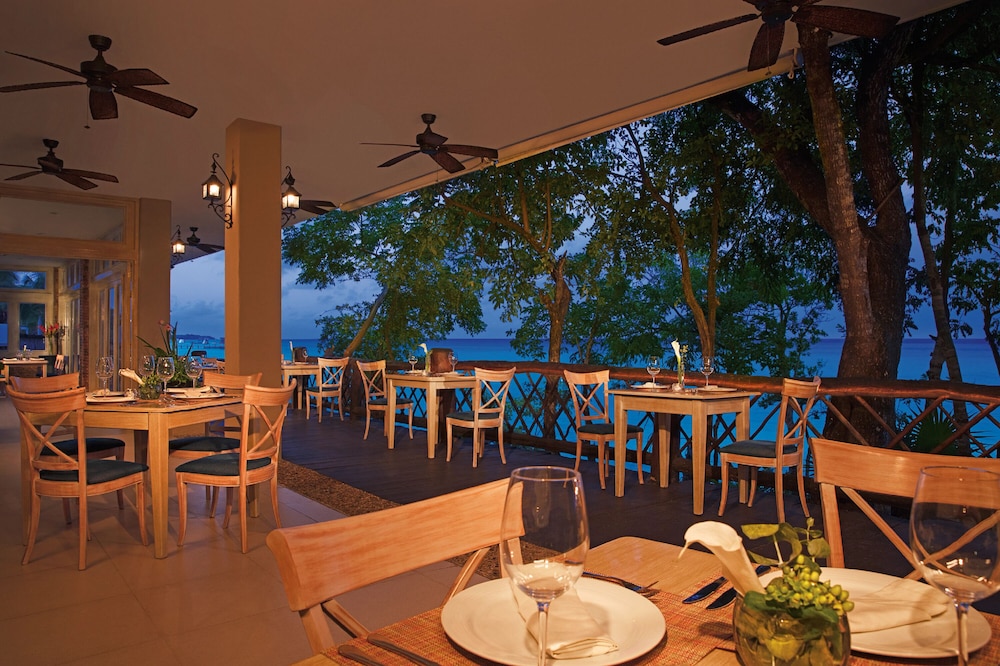 Dreams Cozumel Cape Resort & Spa 41/60