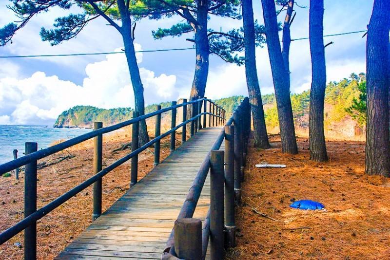 Taean Gooreumpo Beach Caravan 20/20