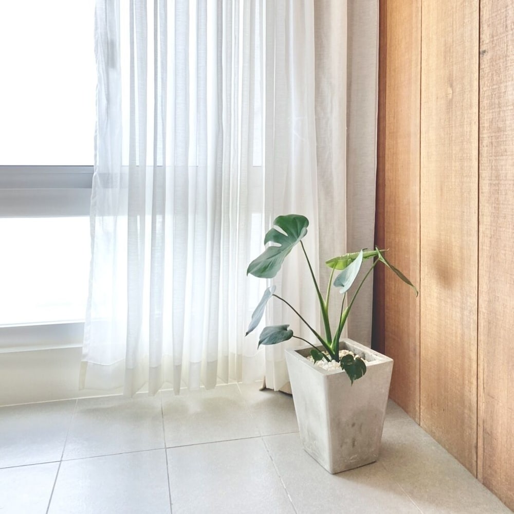 Sasa Nor Lamour B&B 49/50