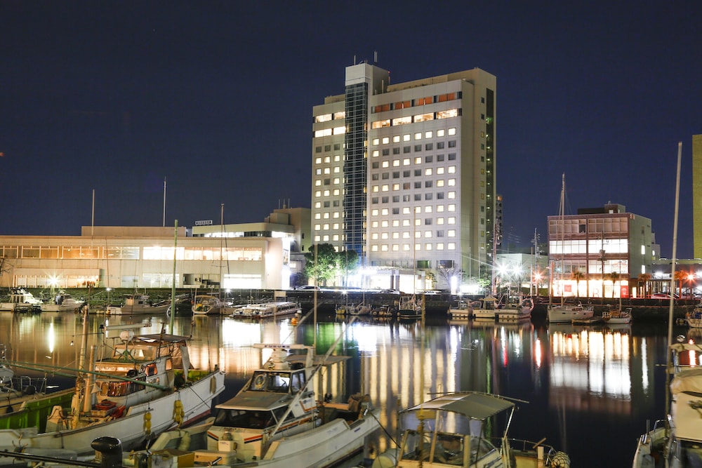 Tokushima Grandvrio Hotel 3/50