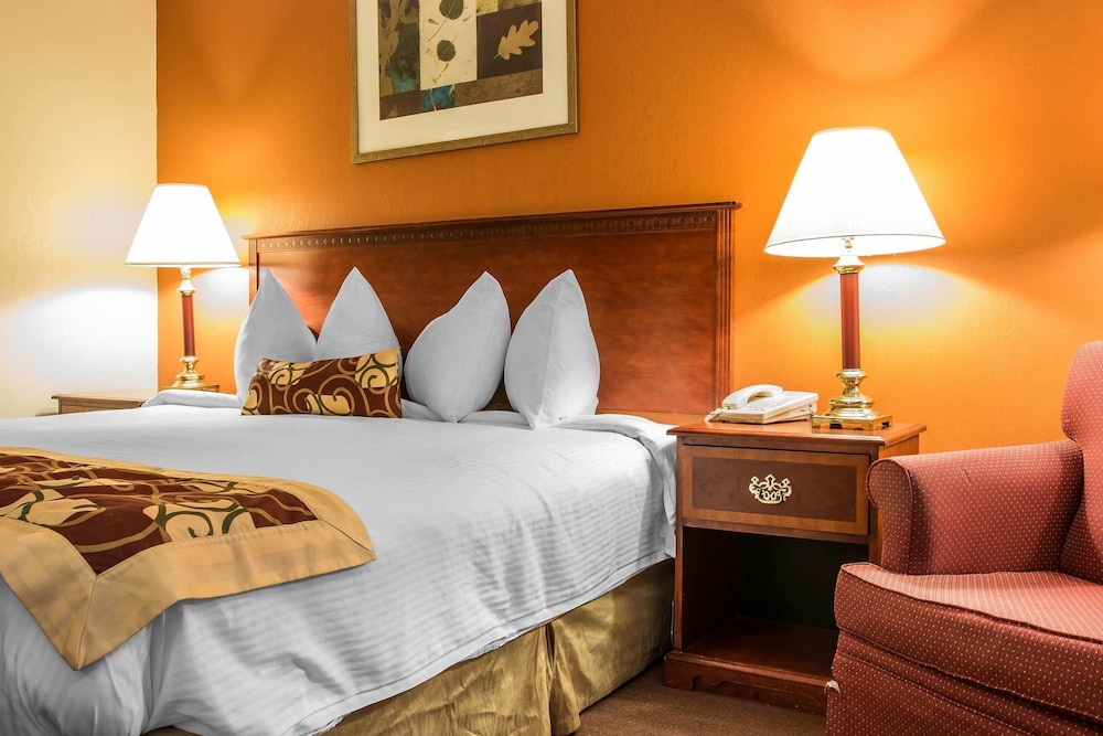 Rodeway Inn Muskegon Airport MI 10/33