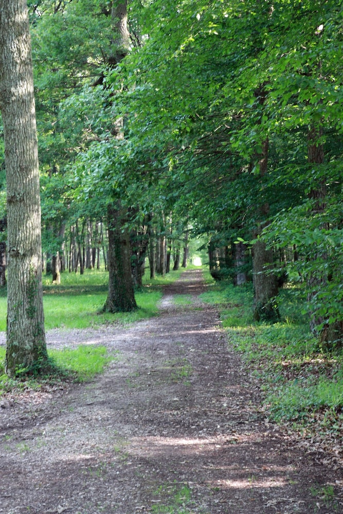 Le Relais Des Landes 38/50