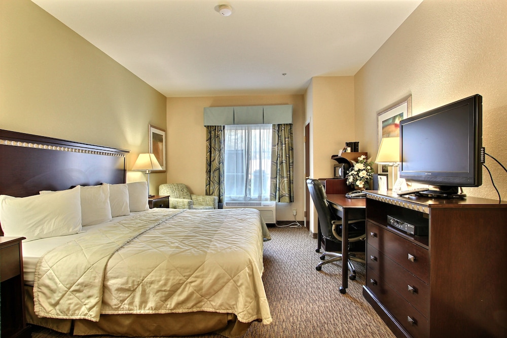 Magnolia Inn Suites 23/50