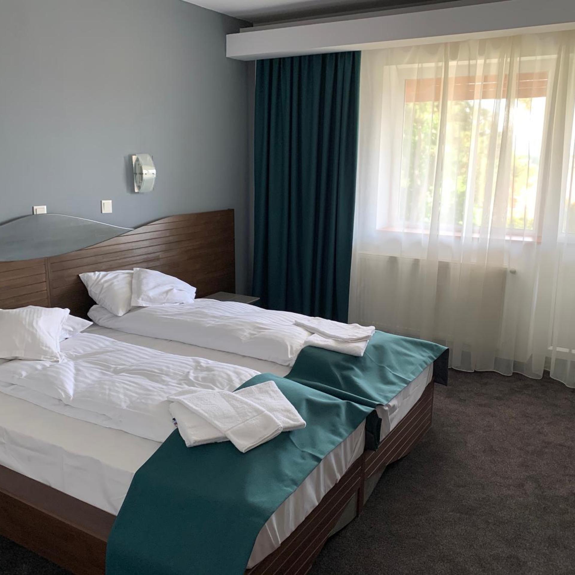 Best Western Hotel Park Sfantu Gheorghe 26/55