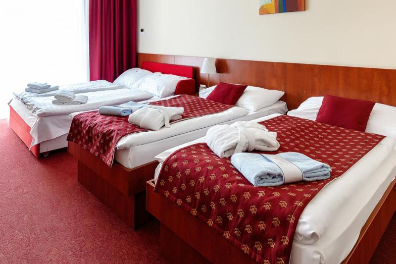 Hotel Senec Lake Resort 13/50