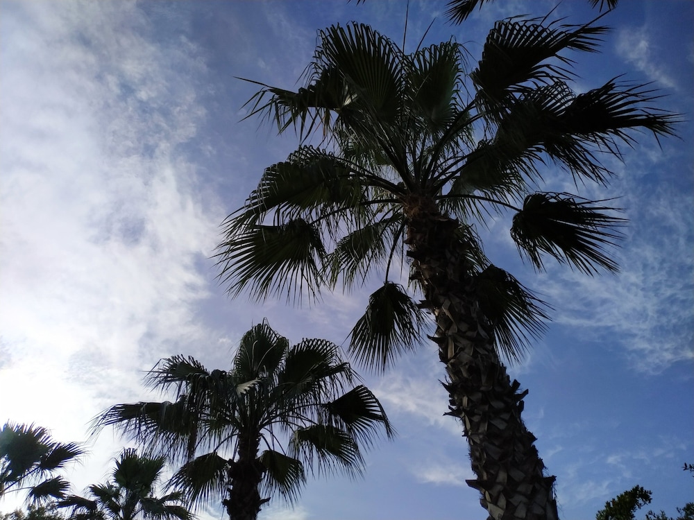 Olympos Yavuz Hotel 26/38