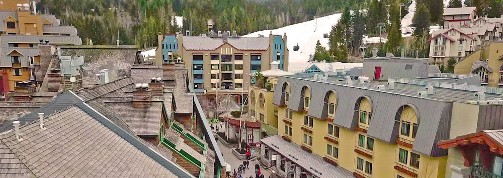 Pangea Pod Hotel 45/50