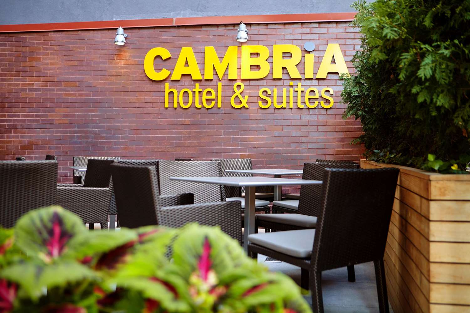 Cambria Hotel New York-Chelsea 4/43