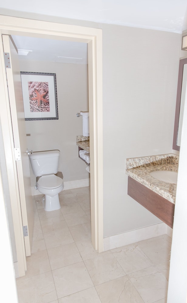 Embassy Suites by Hilton West Palm Beach Central 33/56
