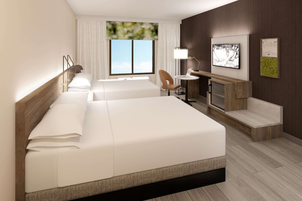 Wyndham Garden Orlando Airport 13/52