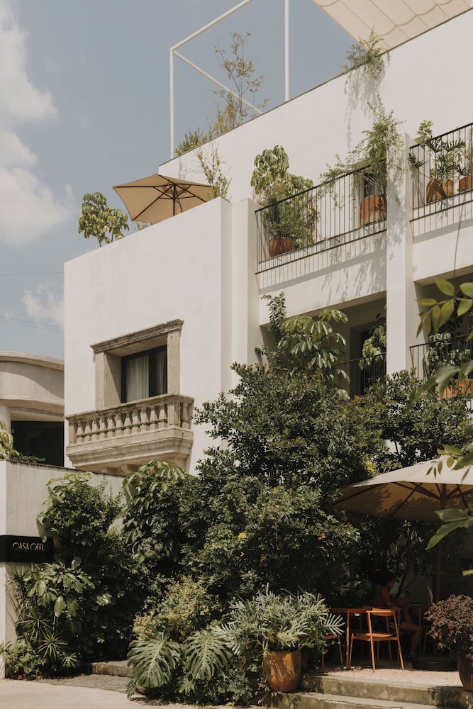 Casa Ofelia 4/50
