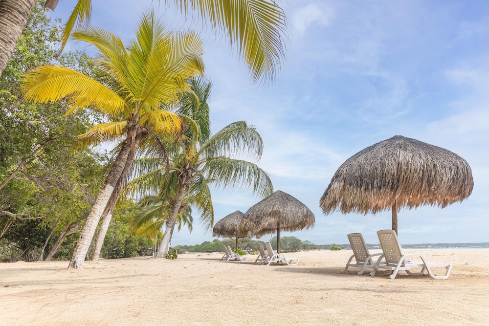 Decameron Baru – All Inclusive 45/49