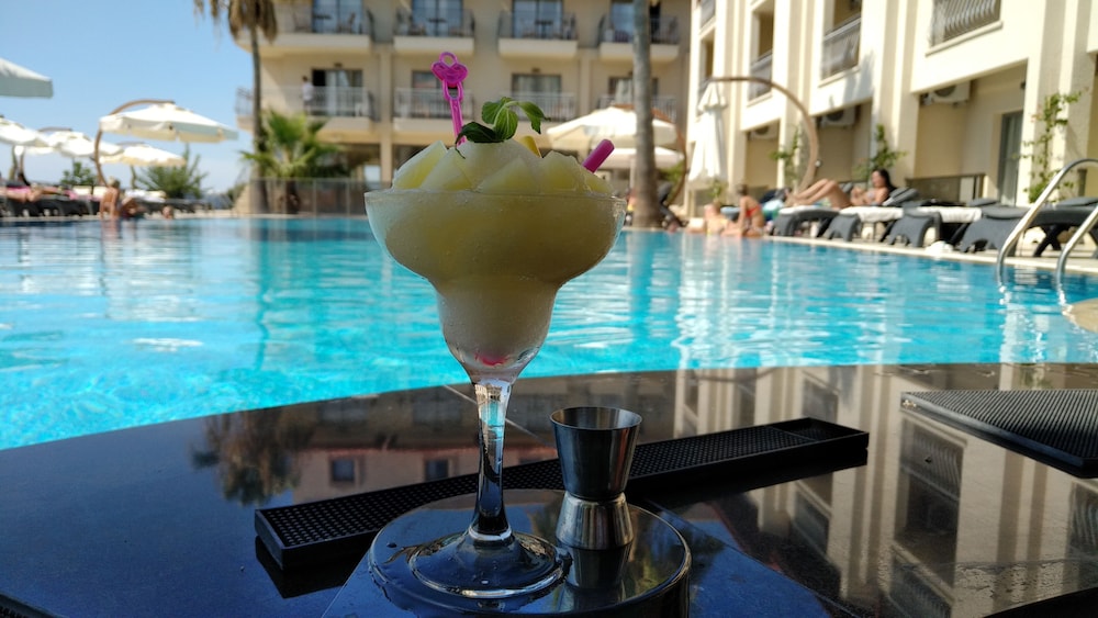 Palmera Hotel 17/50