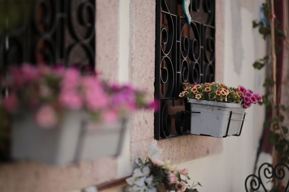 Ayvalik Palacitta Guesthouse 6/22