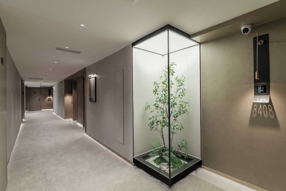 K.Space KaiShi hotel 25/50