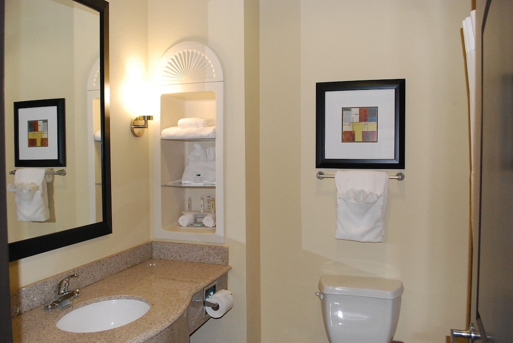 Holiday Inn Express Hotel & Suites Houston South - Pearland 26/61