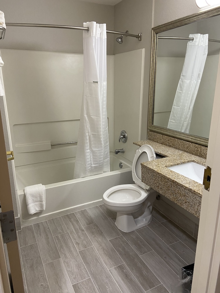 Microtel Inn & Suites by Wyndham Statesville 19/43