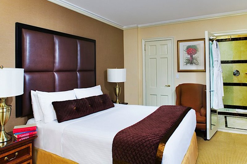 Fitzpatrick Manhattan Hotel 14/53