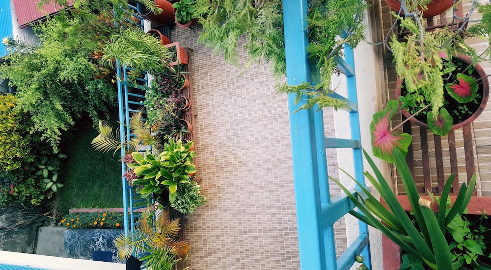 Nanohana Lodge 51/58