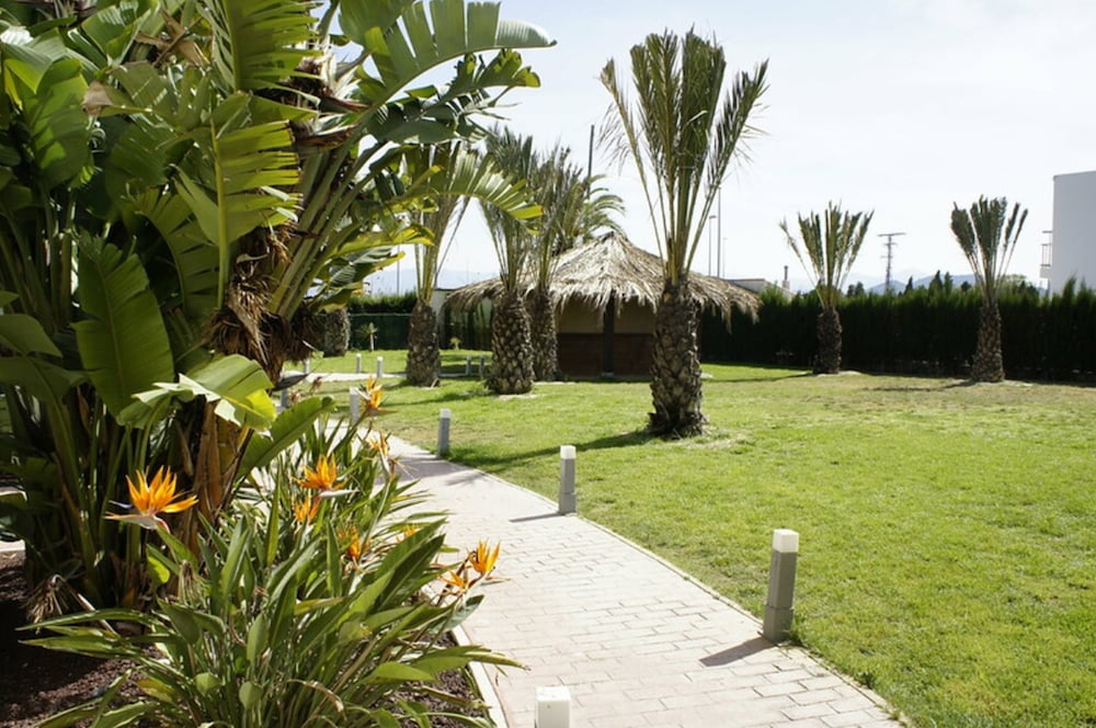 Playa Oliva 35/43