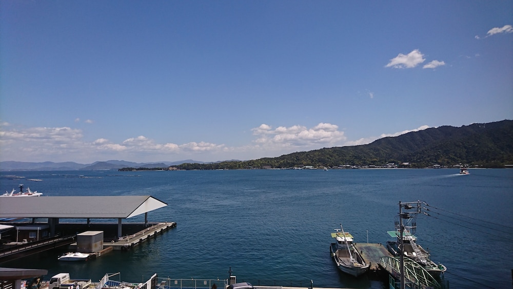 Miyajima Coral 43/50