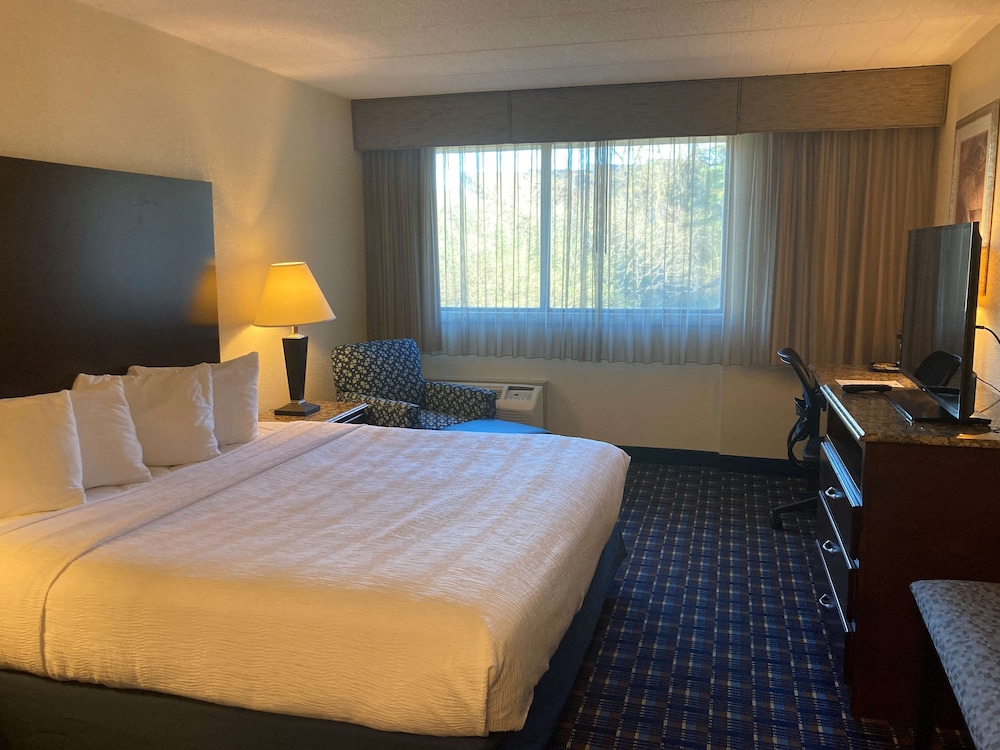 Best Western Plus Reading Inn & Suites 10/37
