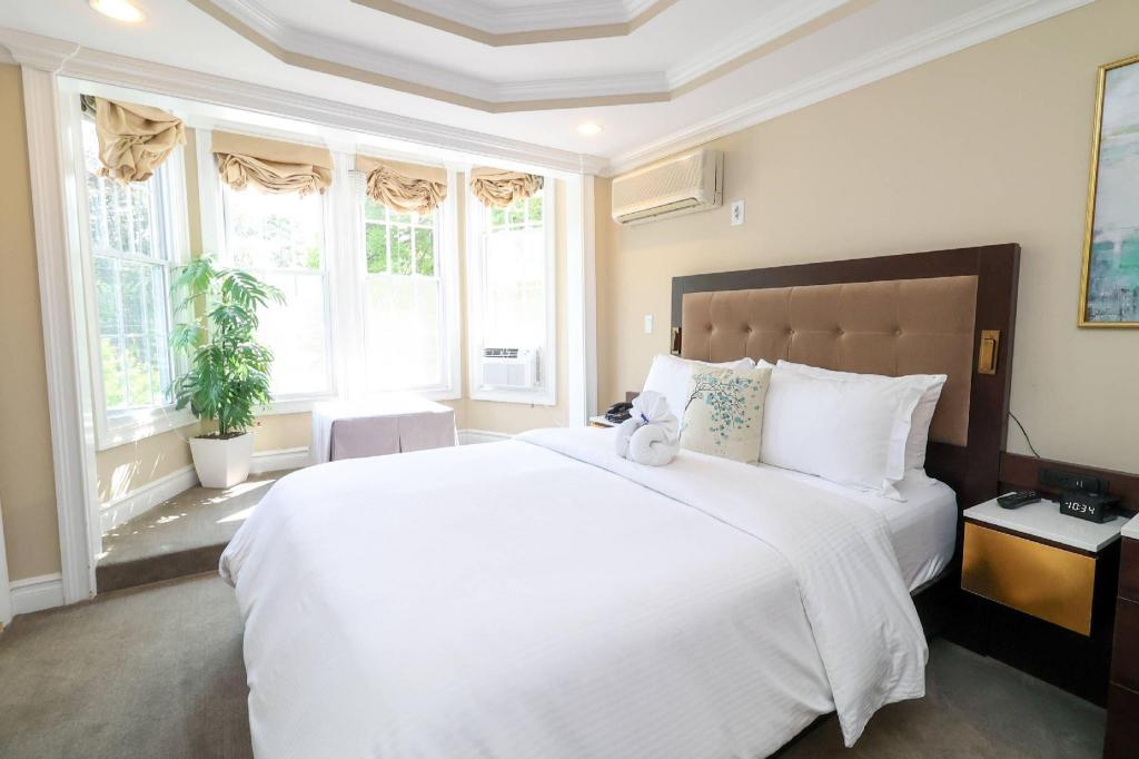 Upgrade, Queen Bed