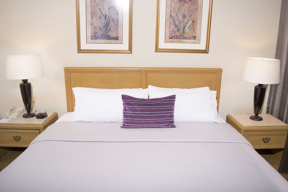 iStay Hotel Ciudad Victoria 23/50