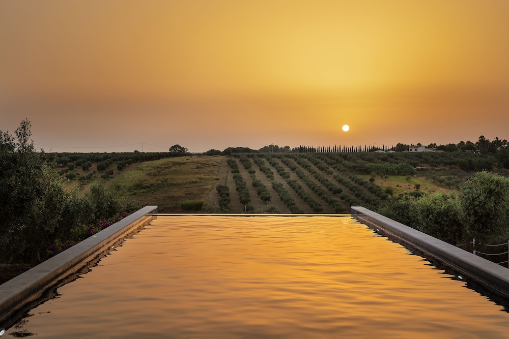 Momentum Wellness Bio Resort 70/75