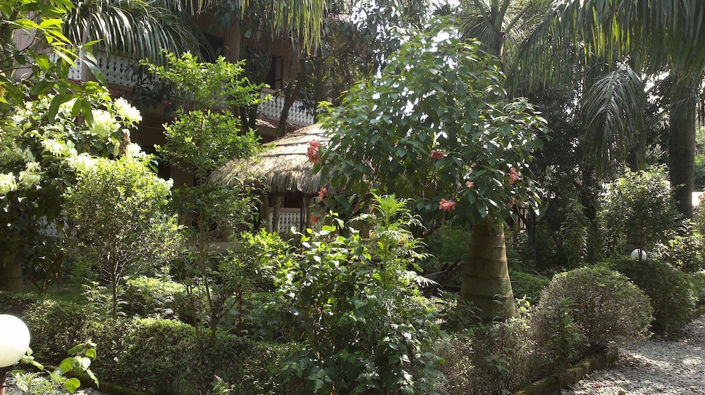 Sauraha Resort 47/50