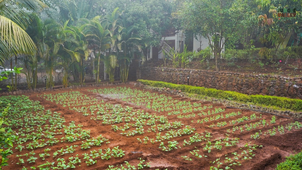 Jungle Valley Agriculture Resort 39/47