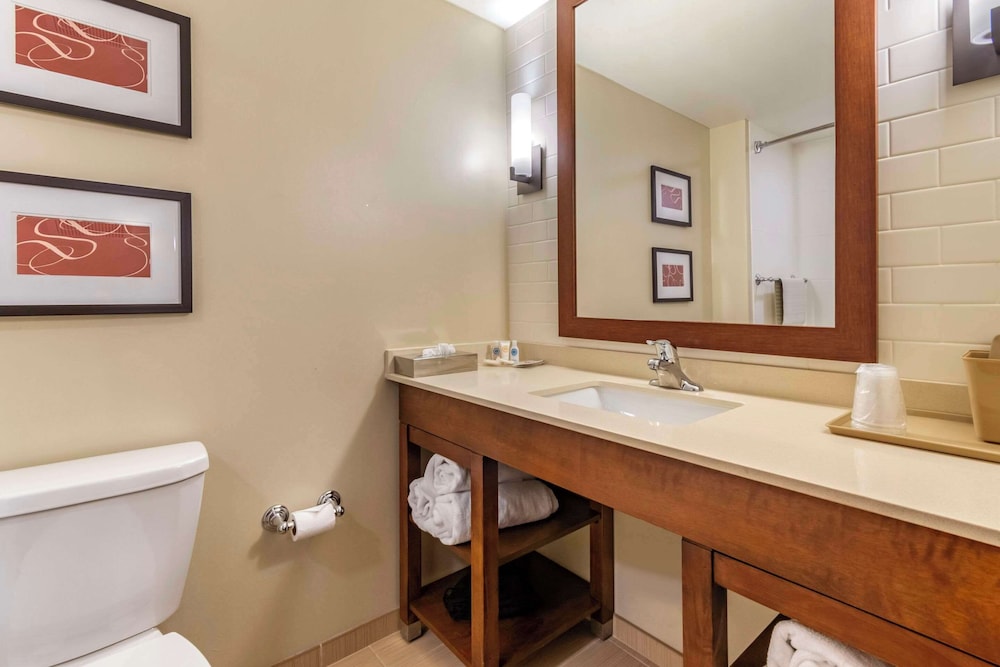 Comfort Suites Manheim - Lancaster 54/55