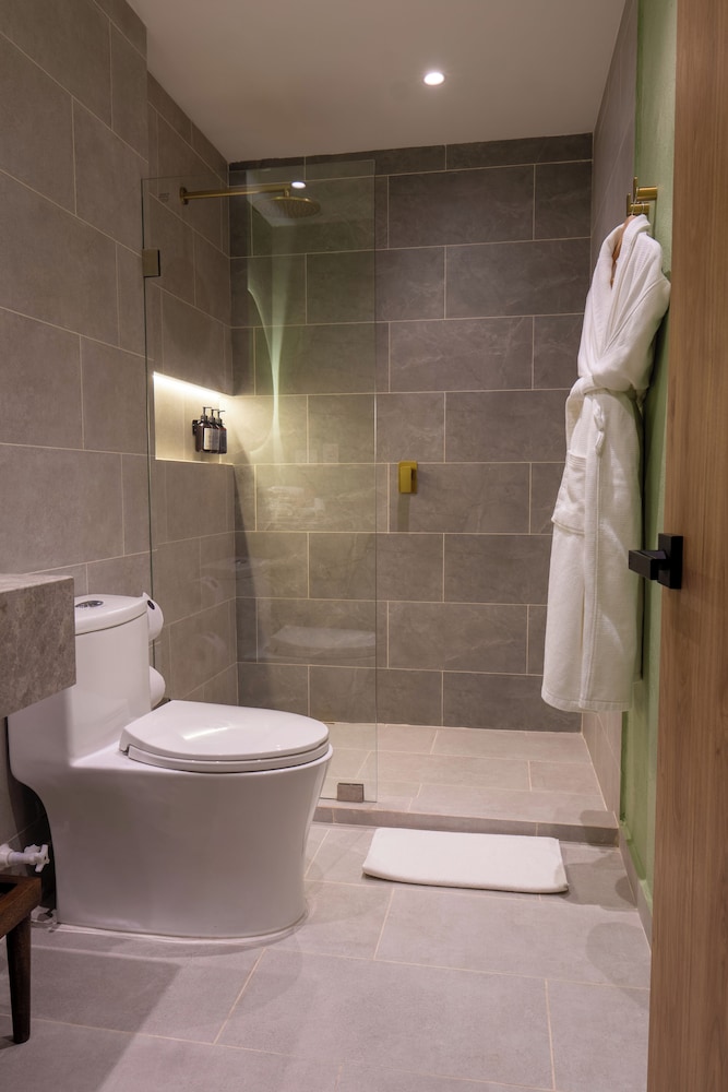 Hotel Faranda Collection Cucuta 58/58