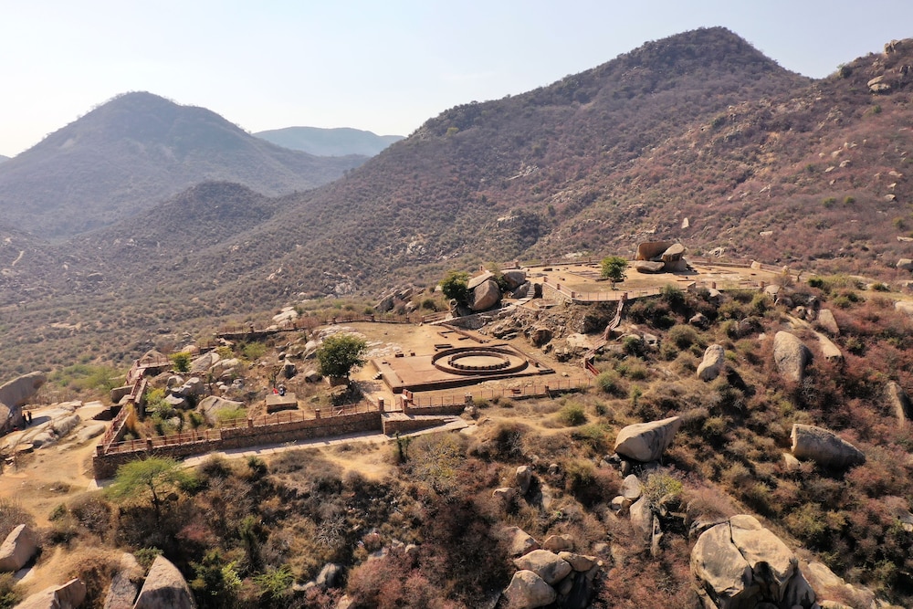 Sariska Safari Lodge 24/30