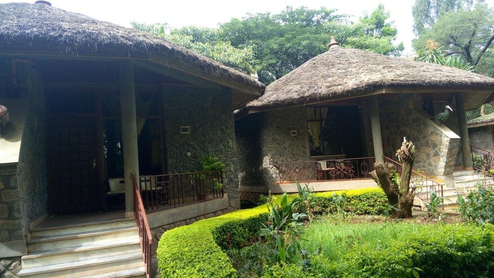 Abay Minch Lodge 42/50
