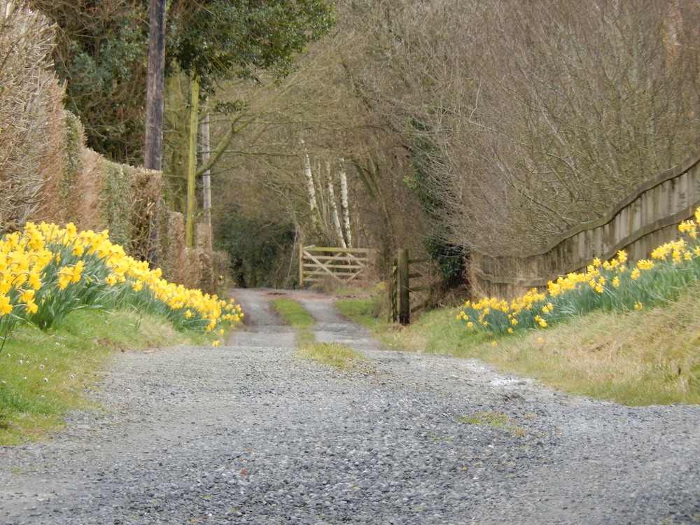 Alltybrain Farm Cottages 42/50