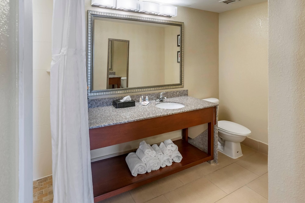 Comfort Inn and Suites Lincoln AL 60/61
