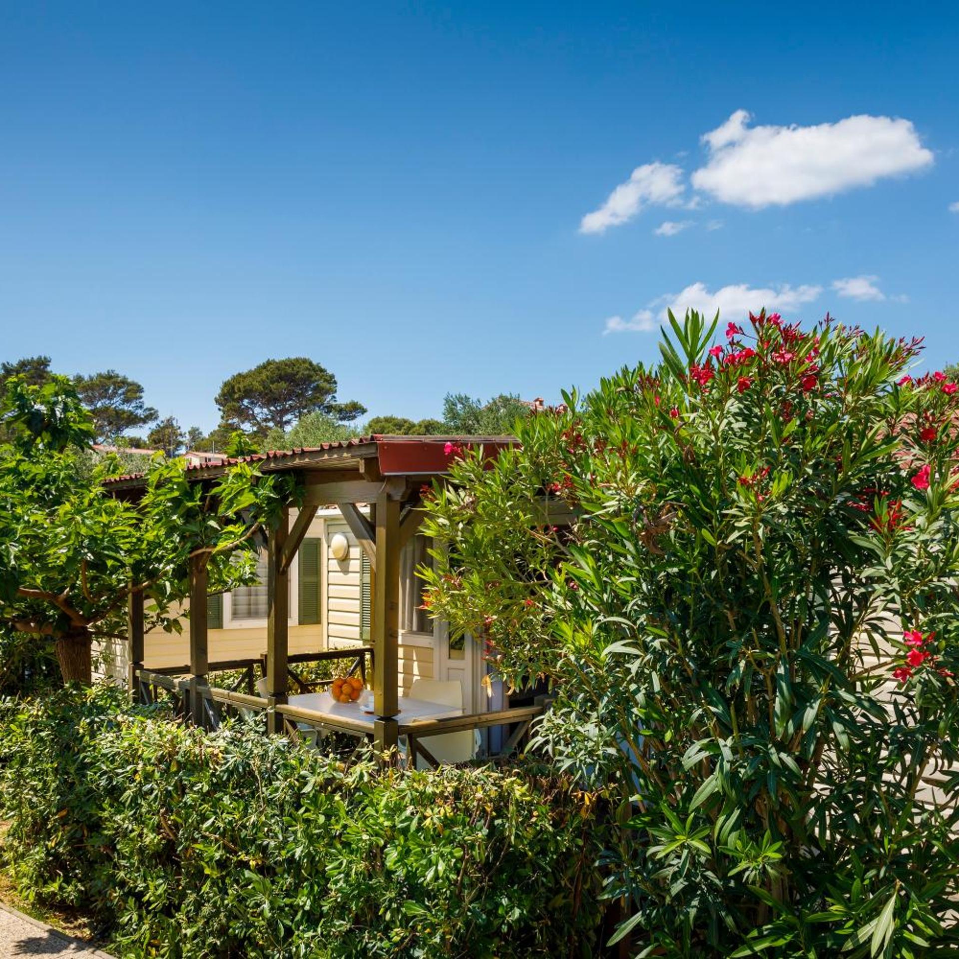 Padova Premium Camping Resort by Valamar 30/36
