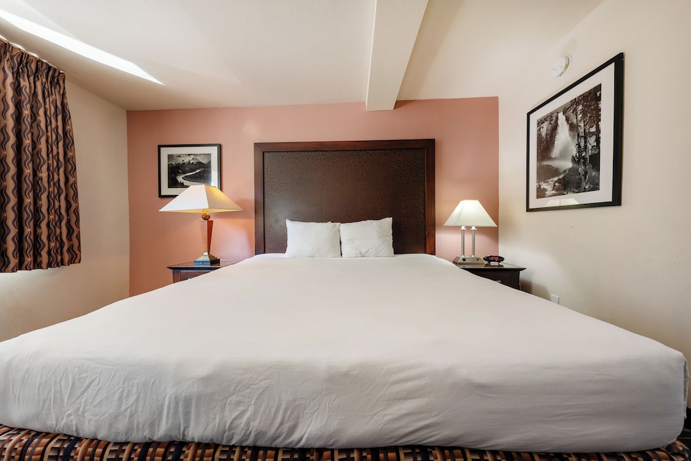 SUITE, KING BED