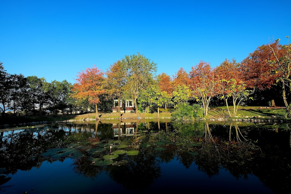 Green Forest别墅(Green Forest Villa) 图片4