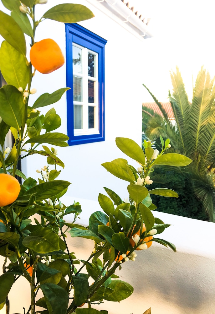 Armata Boutique Hotel Spetses 4/60
