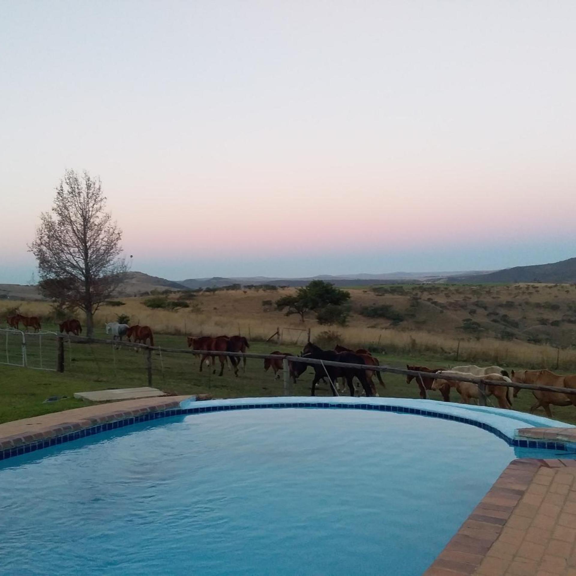 Blue Haze Country Lodge 27/50
