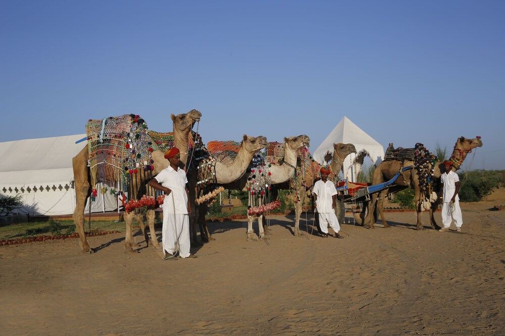 Pushkar Adventure Desert Camp 27/28