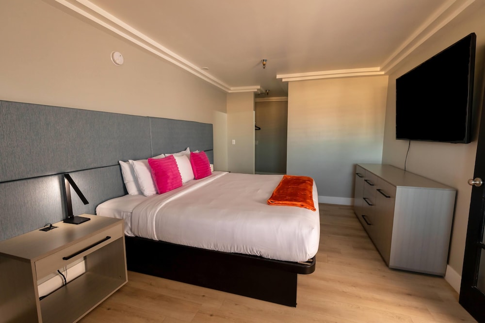 1 Bedroom, Lexi, Suite, King Bed