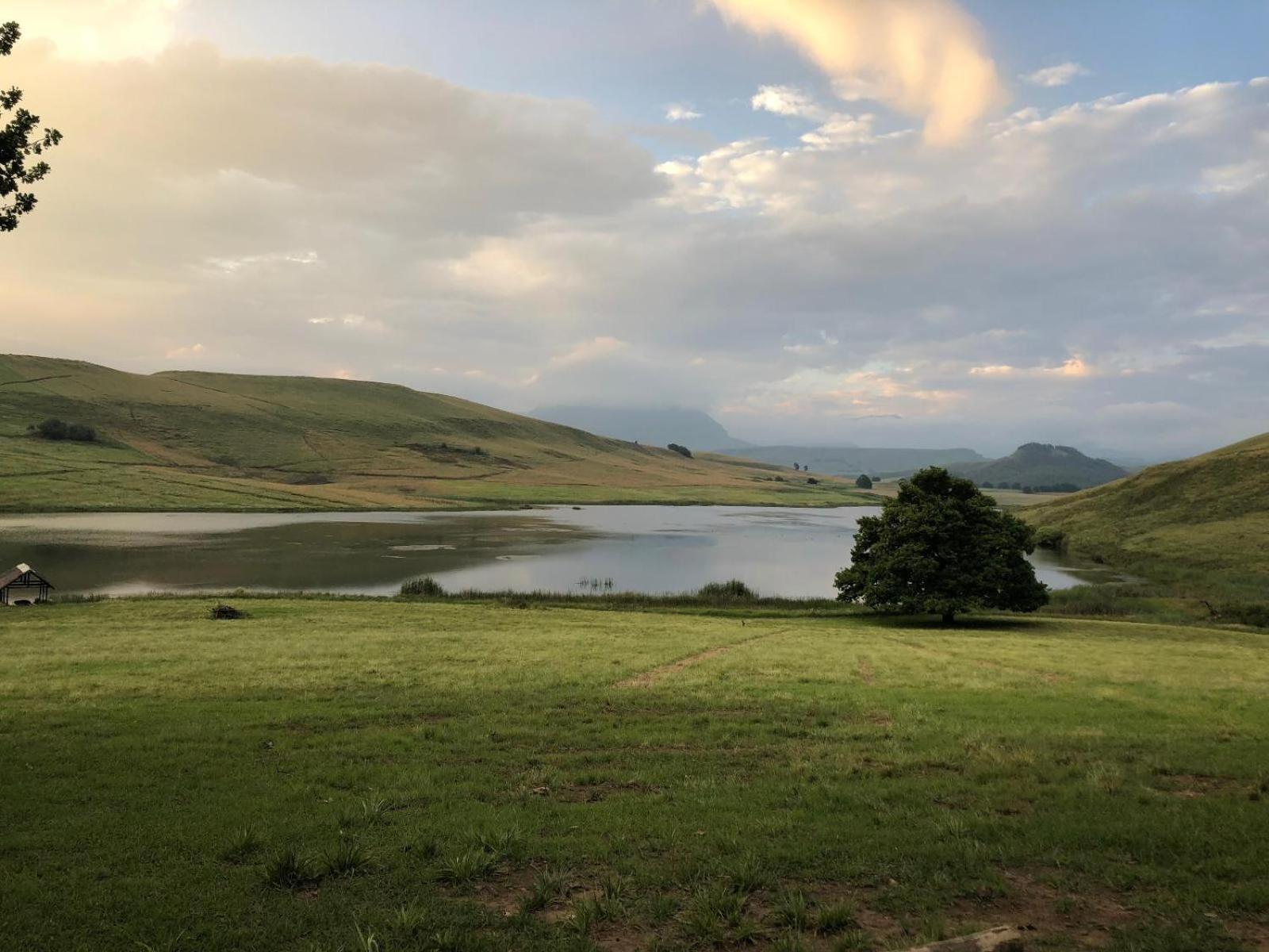 Lake Glencairn 33/50