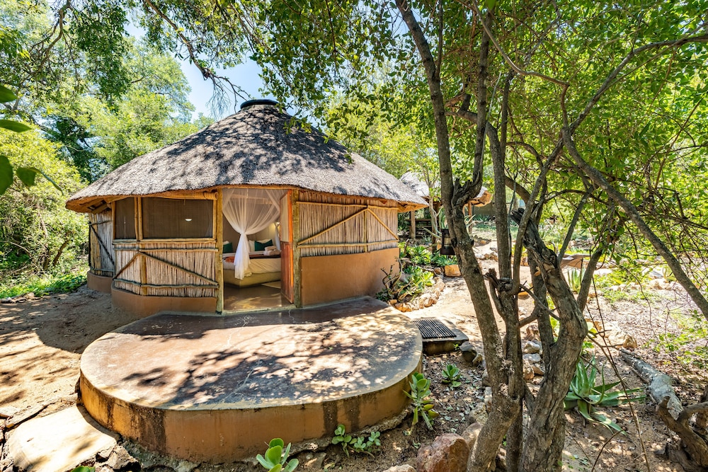 ウムラニ ブッシュキャンプ - ロッジ(Umlani Bushcamp - Lodge) 写真2