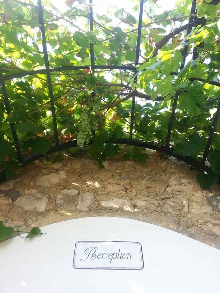 Tenuta De Marco 25/26
